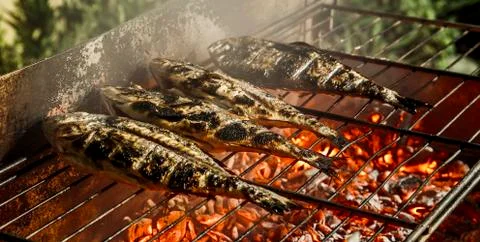 Seafood grill. Stock Photos
