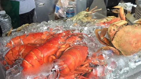 Seafood on ice Stock Footage 71165881