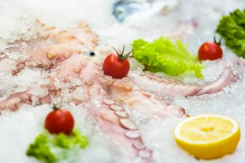 Seafood on ice Stock Photos