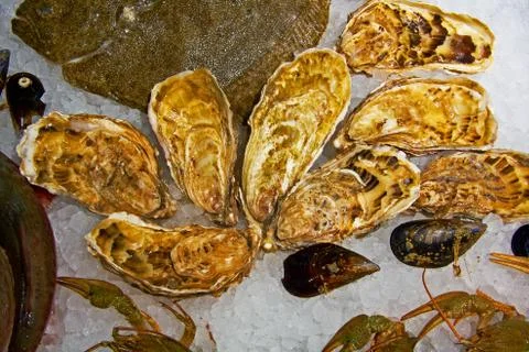 Seafood on ice Stock Photos