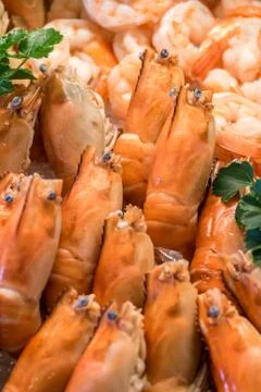Seafood on ice Stock Photos