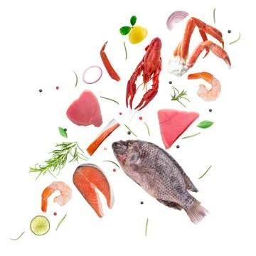 Seafood isolated on white background. Stock Photos