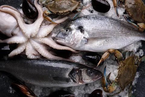 Seafood on marble table Stock Photos