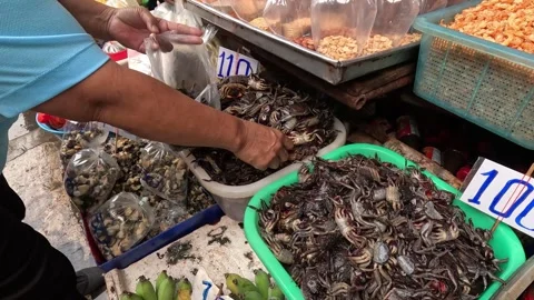 Seafood Market Crab Selection Process Stock Footage 276210681