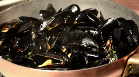 Seafood, mussels Stock Footage 31123559