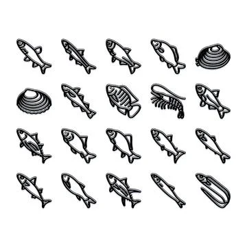 Seafood outlines set representing aquatic animals collection Stock Illustration