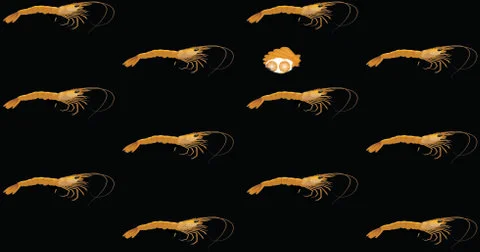 Seafood pattern shrimps shells icons dark repeatingdecor Illustrazione stock