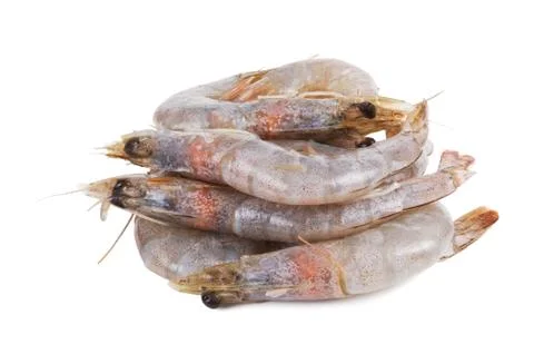 Seafood Stock Photos