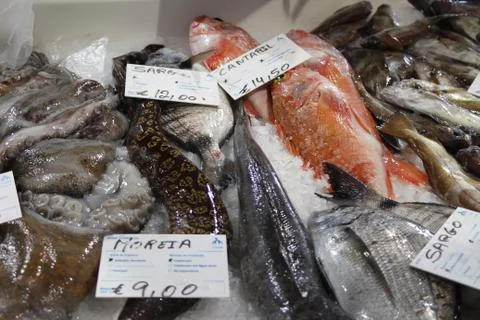 Seafood Stock Photos