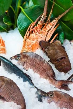 Seafood Stock Photos