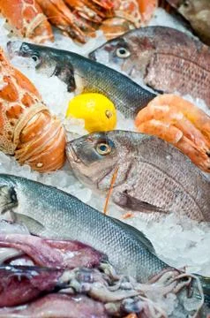 Seafood Stock Photos