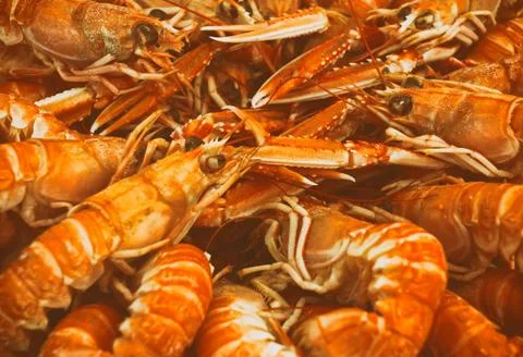 Seafood Stock Photos