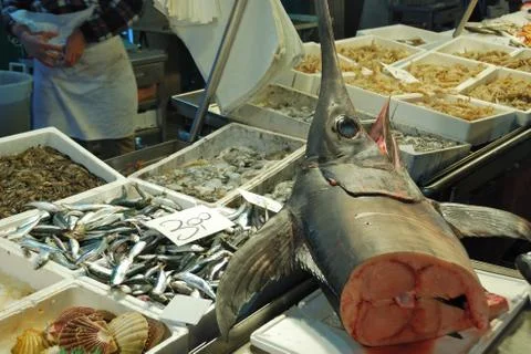 Seafood Stock Photos