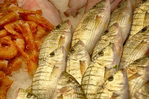 Seafood Stock Photos