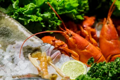 Seafood Stock Photos