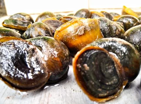 Seafood.  Stock Photos