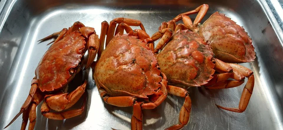 Seafood Stock Photos