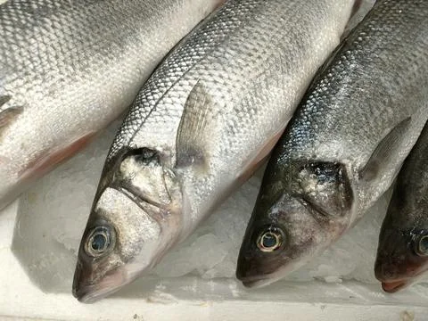Seafood Stock Photos
