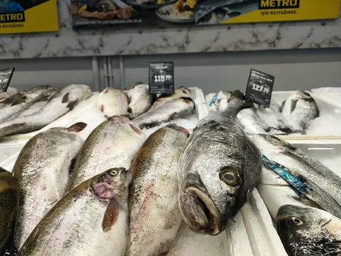 Seafood Stock Photos