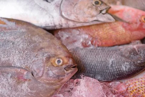 Seafood Stock Photos
