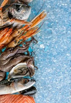 Seafood placed on ice drift Stock Photos