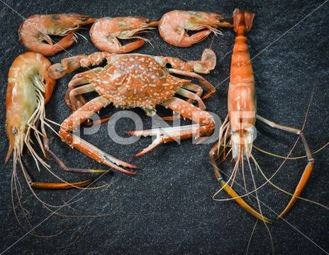 Seafood plate with shrimps prawns and crab ocean gourmet dinner food shellfis Stock Photos