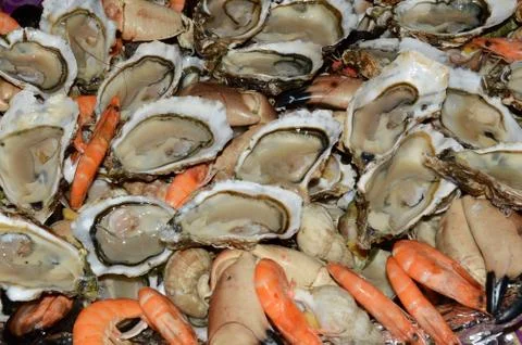 Seafood platter Stock Photos
