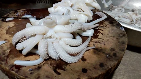 Seafood processing into dishes Video stock 290008803