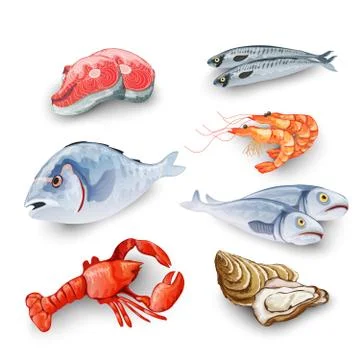Seafood Products Set Stock Illustration