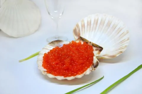 Seafood red caviar in a shell  Stock Photos