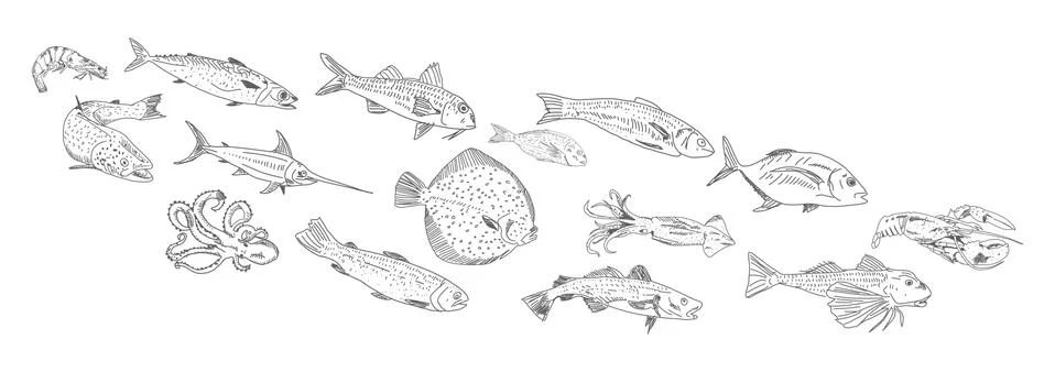 Seafood restaurant menu template. Vector. Stock Illustration