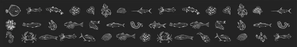 Seafood restaurant menu template. Vector. Stock Illustration