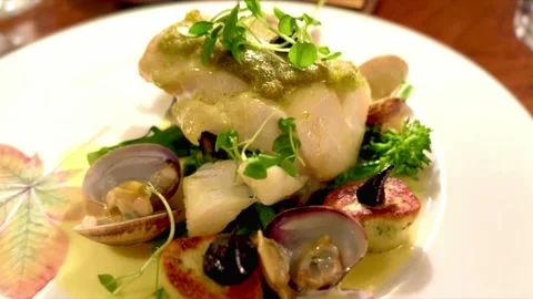 Seafood restaurant plate of cod fish served with parsley, gnocci and scallops Stock Footage 321645266