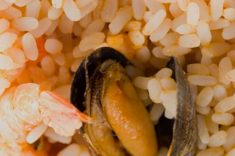 Seafood risotto with prawn background Stock Photos