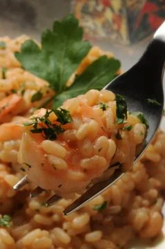 Seafood risotto with prawn on the fork Stock Photos