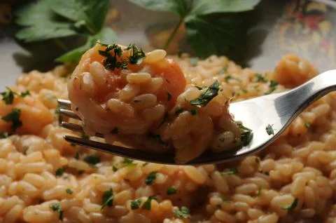 Seafood risotto with prawn on the fork Stock Photos