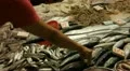 Seafood for sale in Hong Kong Market Street, Meat, Fish HD Footage