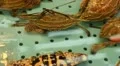 Seafood for sale in Hong Kong Market Street, Meat, Fish HD Footage