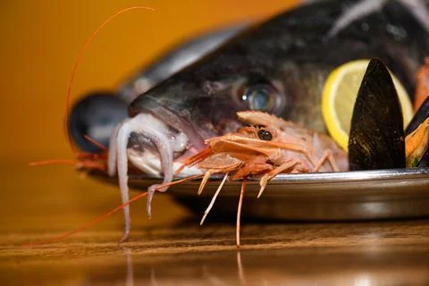 Seafood Selection Stock Photos