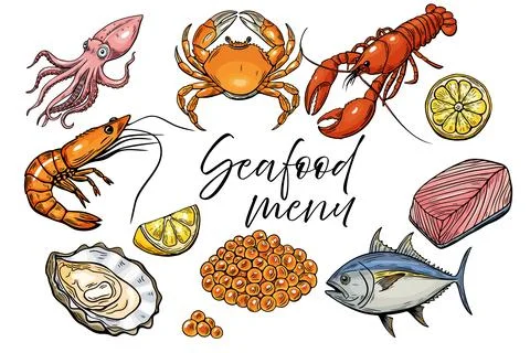 Seafood, set menu. Line drawing vector, Hand drawn food. Stock Illustration