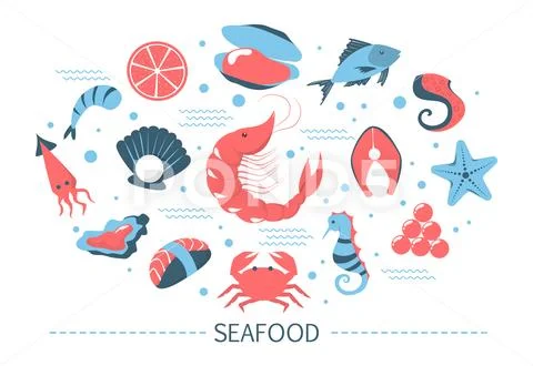 Seafood set. Salmon slice and shrimp, shellfish. Stock Illustration