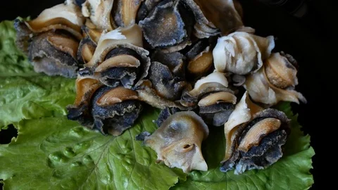 Seafood, shellfish Rapana. Cooked shellfish rapana. Stock Footage 90709513