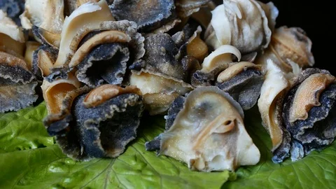 Seafood, shellfish Rapana. Cooked shellfish rapana. Stock Footage 90709599