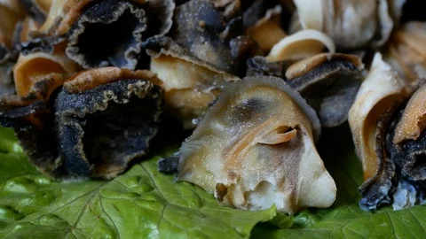 Seafood, shellfish Rapana. Cooked shellfish rapana. Stock Footage 90709707
