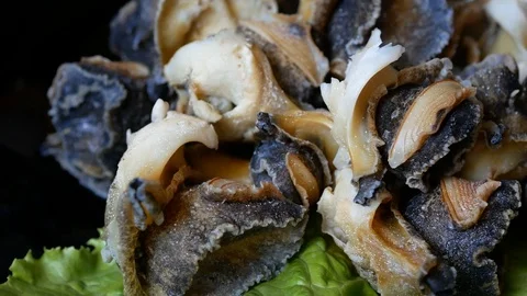 Seafood, shellfish Rapana. Cooked shellfish rapana. Stock Footage 90709774