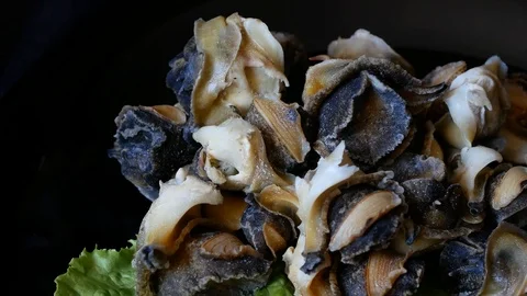 Seafood, shellfish Rapana. Cooked shellfish rapana. Stock Footage 90710375