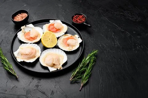 Seafood. Shellfish. Raw scallops with lemon, on black dark stone table backgr Stock Photos
