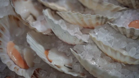 Seafood. Shells on ice lie one on top of the other. Stock Footage 281325165