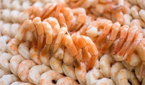 Seafood. Shrimp. Stock-Fotos