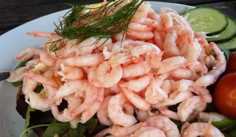 Seafood. Shrimp. Stock Photos